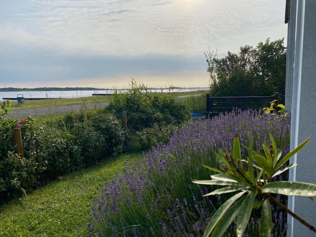 Villa Veerse Meer Kamperland Buitenkant foto